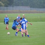 2012-07-22 Ladies Football League v Kilmacthomas in Mount Sion (Won) (2)