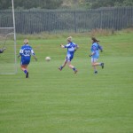 2012-07-22 Ladies Football League v Kilmacthomas in Mount Sion (Won) (6)
