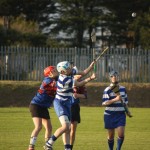 2012-07-27 Junior Camogie Championship v An Rinn in Mount Sion (Lost) (2)