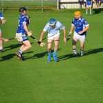 2012-08-09 Junior Hurling Championship v Roanmore in Mount Sion (Won) (1)