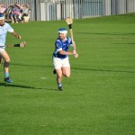 2012-08-09 Junior Hurling Championship v Roanmore in Mount Sion (Won) (13)