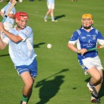 2012-08-09 Junior Hurling Championship v Roanmore in Mount Sion (Won) (15)
