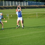 2012-08-09 Junior Hurling Championship v Roanmore in Mount Sion (Won) (24)