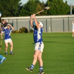 2012-08-09 Junior Hurling Championship v Roanmore in Mount Sion (Won) (26)