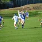 2012-08-09 Junior Hurling Championship v Roanmore in Mount Sion (Won) (3)