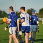 2012-08-09 Junior Hurling Championship v Roanmore in Mount Sion (Won) (30)