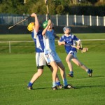 2012-08-09 Junior Hurling Championship v Roanmore in Mount Sion (Won) (33)