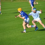 2012-08-09 Junior Hurling Championship v Roanmore in Mount Sion (Won) (5)