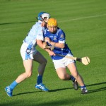 2012-08-09 Junior Hurling Championship v Roanmore in Mount Sion (Won) (6)