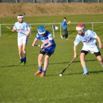 2013-04-12 Under 12 City League v Roanmore in Mount Sion (Lost) (10)