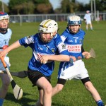 2013-04-12 Under 12 City League v Roanmore in Mount Sion (Lost) (16)