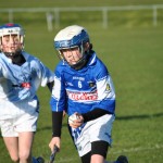 2013-04-12 Under 12 City League v Roanmore in Mount Sion (Lost) (20)