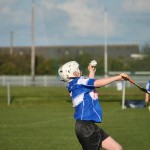 2013-04-12 Under 12 City League v Roanmore in Mount Sion (Lost) (21)