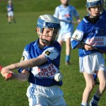 2013-04-12 Under 12 City League v Roanmore in Mount Sion (Lost) (24)