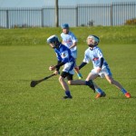 2013-04-12 Under 12 City League v Roanmore in Mount Sion (Lost) (3)