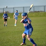 2013-04-12 Under 12 City League v Roanmore in Mount Sion (Lost) (8)