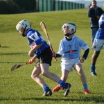 2013-04-12 Under 12 City League v Roanmore in Mount Sion (Lost) (9)
