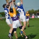 2013-06-19 Minor Challenge v Faythe Harriers (Wex) in Mount Sion (Won) (11)