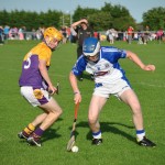 2013-06-19 Minor Challenge v Faythe Harriers (Wex) in Mount Sion (Won) (15)