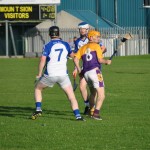 2013-06-19 Minor Challenge v Faythe Harriers (Wex) in Mount Sion (Won) (23)