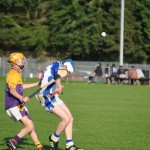 2013-06-19 Minor Challenge v Faythe Harriers (Wex) in Mount Sion (Won) (26)