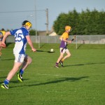 2013-06-19 Minor Challenge v Faythe Harriers (Wex) in Mount Sion (Won) (39)