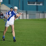 2013-06-19 Minor Challenge v Faythe Harriers (Wex) in Mount Sion (Won) (6)