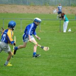 2013-06-20 Br. Dowling Cup in Mount Sion - Mount Sion Primary School (Won) (28)